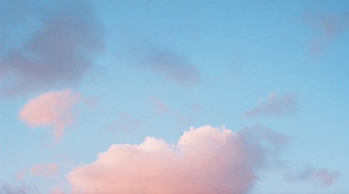 Header Bild